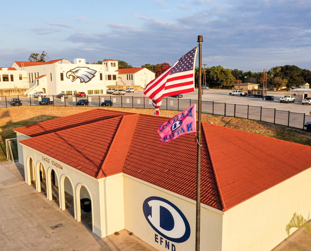 eagle fieldhouse with pink eagle nation flag