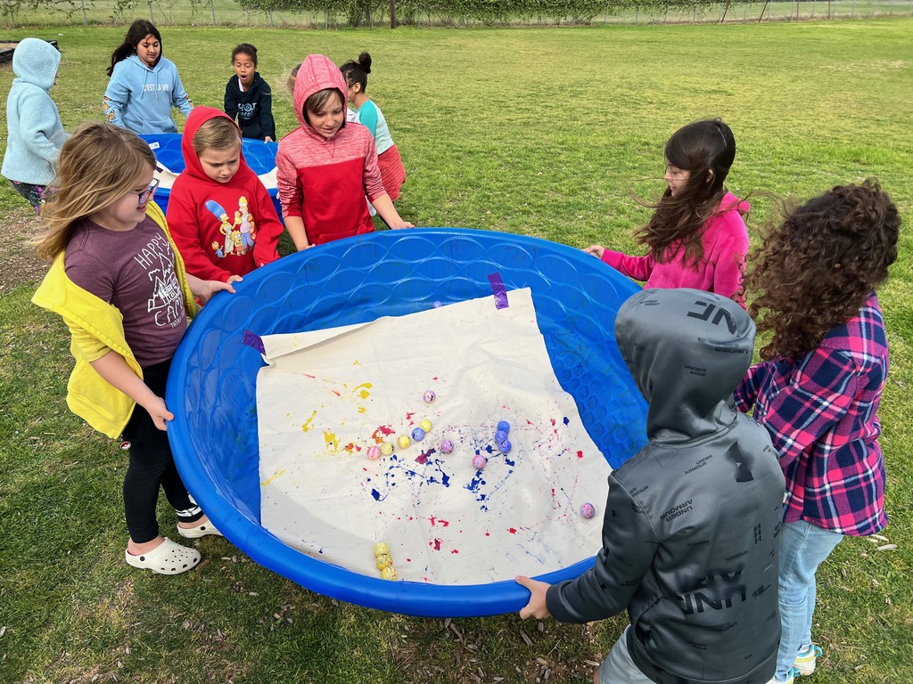 3rd grade students rolling balls of paint around in a kid pool. 